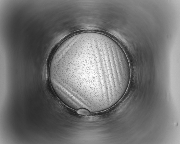 X0000096961269200802221335