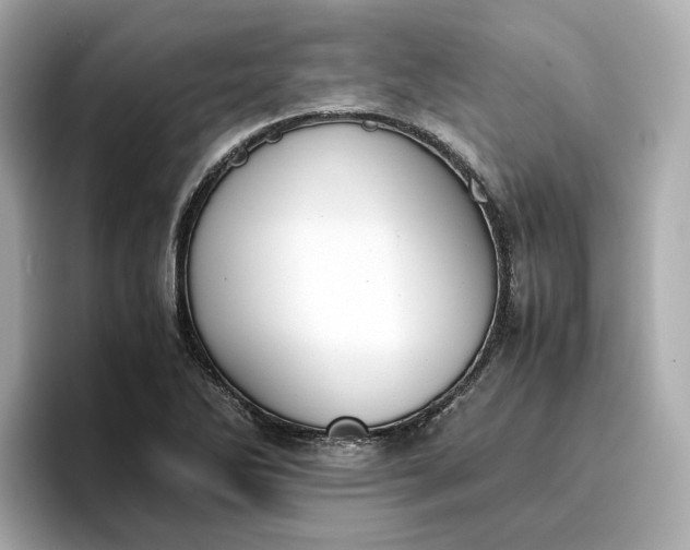 X0000096961270200802221335