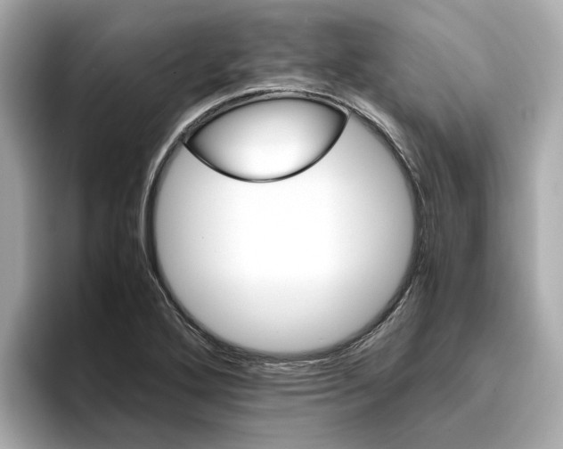 X0000096961272200802221335