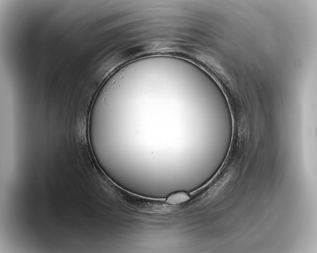 X0000096961273200802221335