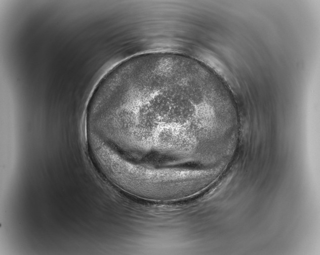 X0000096961275200802221335