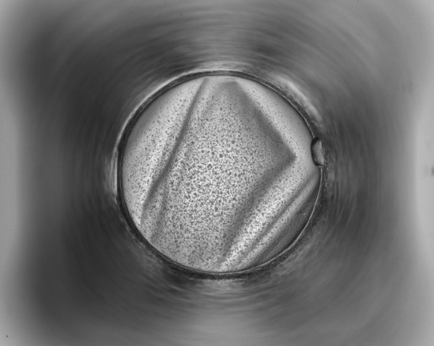 X0000096961276200802221335