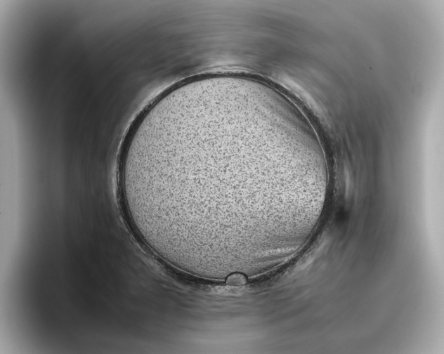 X0000096961277200802221335