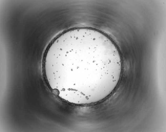 X0000096961278200802221335