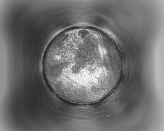 X0000096961279200802221335