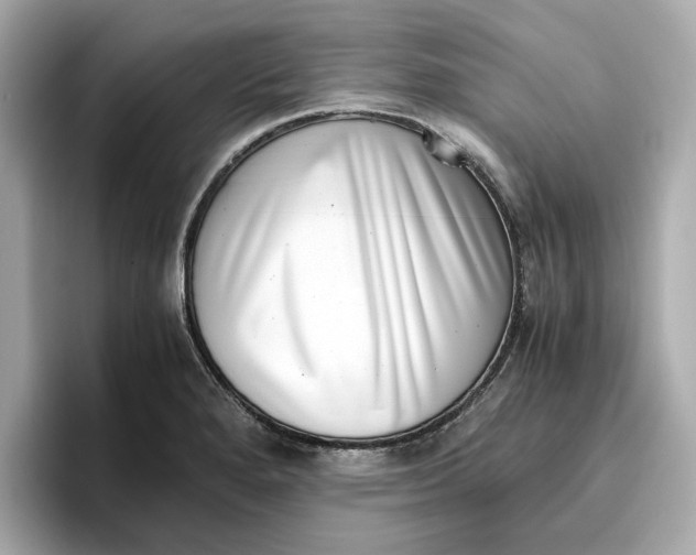 X0000096961280200802221335