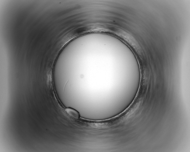 X0000096961281200802221335