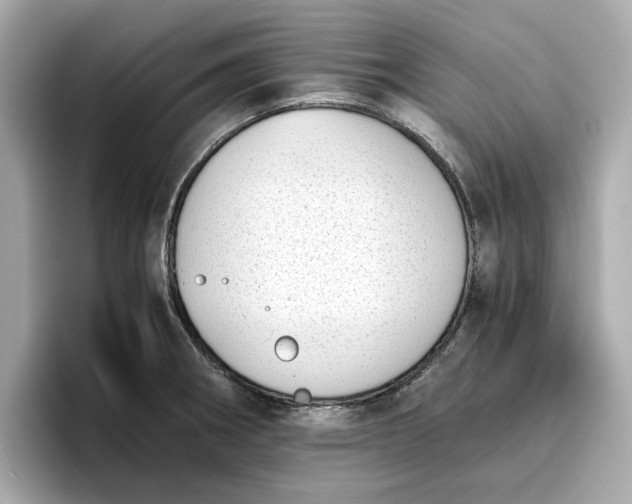 X0000096961282200802221335