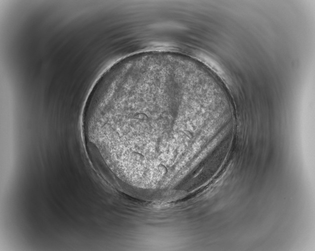 X0000096961283200802221335