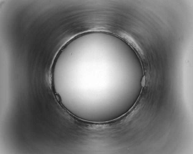 X0000096961284200802221335