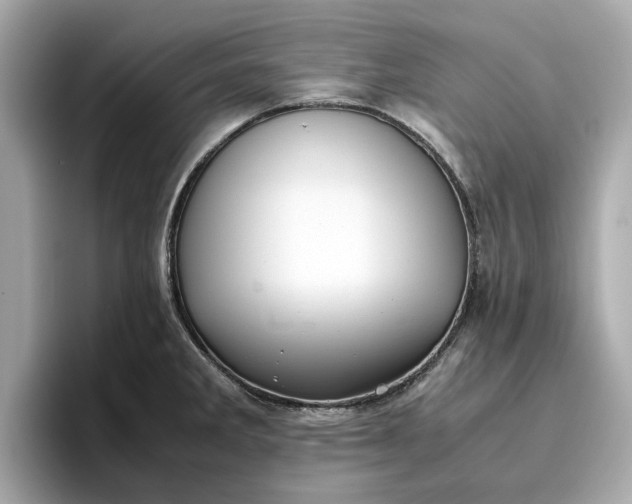 X0000096961285200802221335