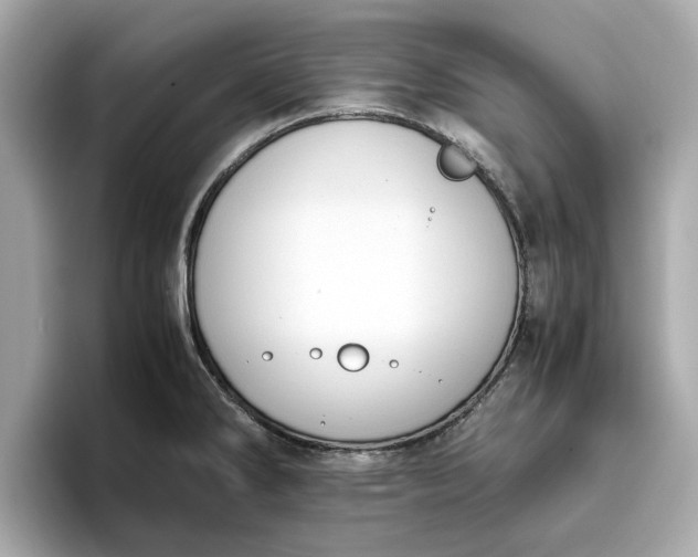 X0000096961286200802221335