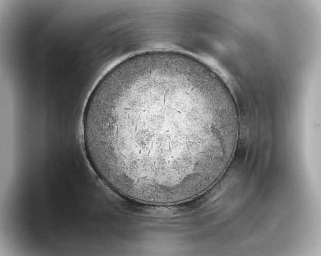 X0000096961287200802221335