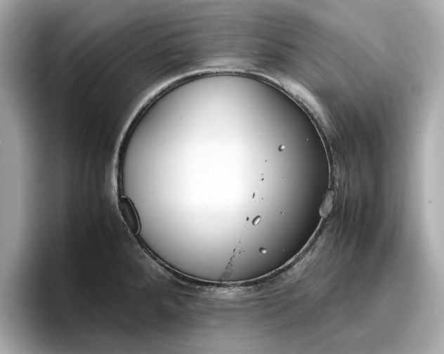 X0000096961288200802221335