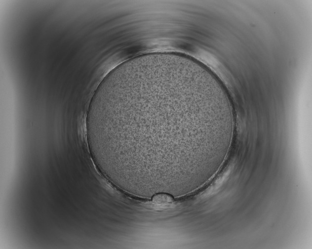 X0000096961289200802221335