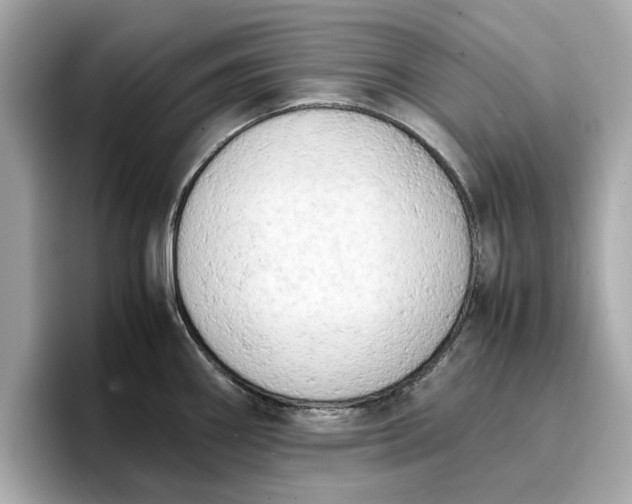 X0000096961290200802221335