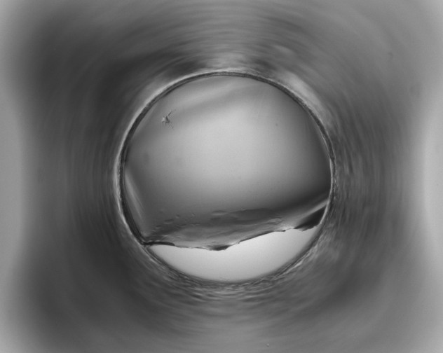 X0000096961291200802221335