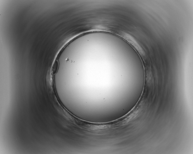 X0000096961292200802221335