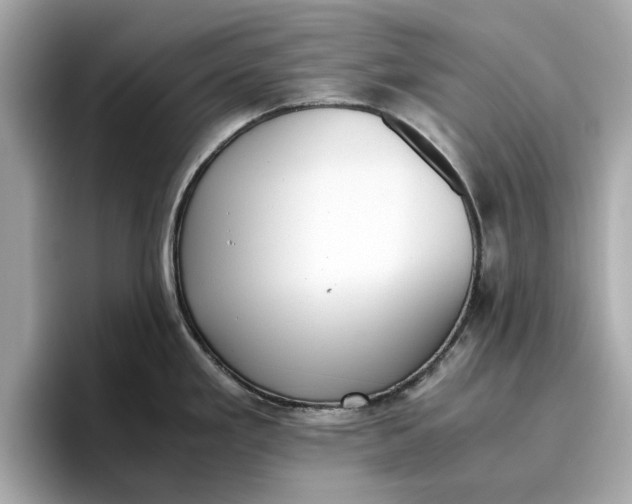 X0000096961293200802221335