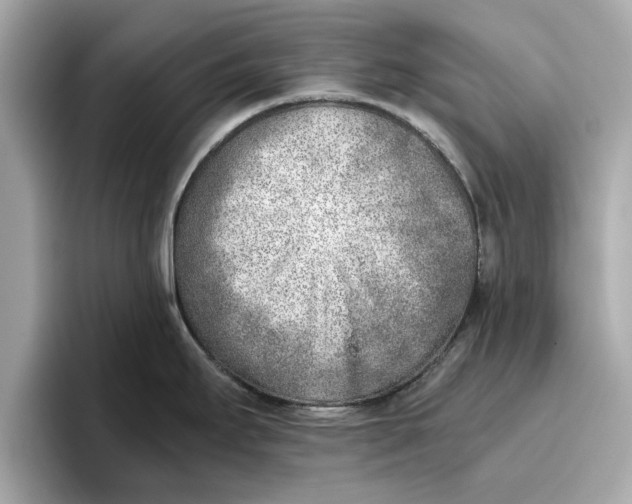 X0000096961295200802221335