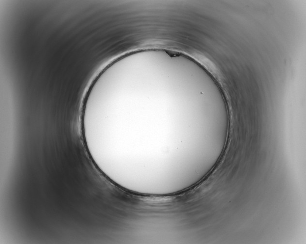 X0000096961296200802221335