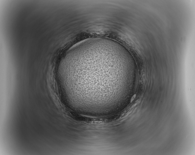 X0000096961297200802221334