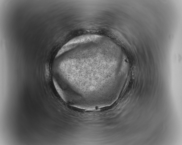 X0000096961298200802221334