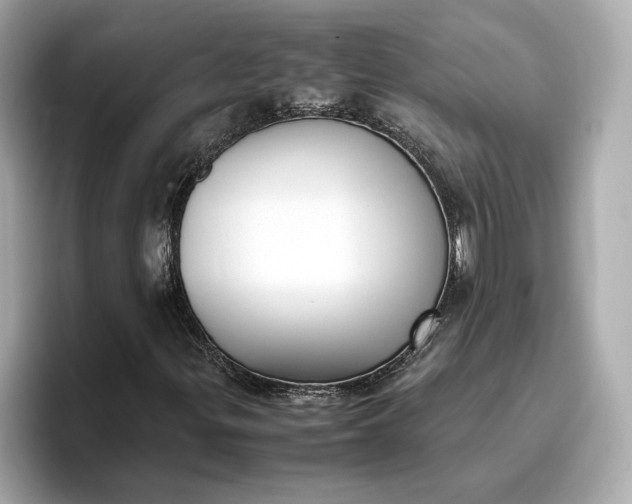 X0000096961299200802221334