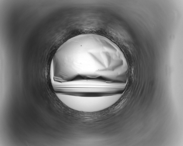 X0000096961300200802221334