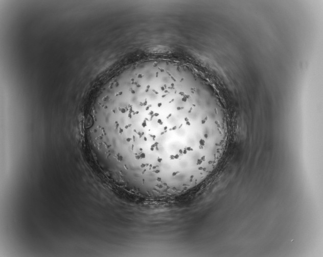 X0000096961301200802221334