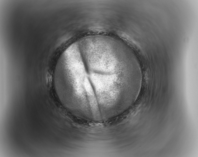 X0000096961302200802221334