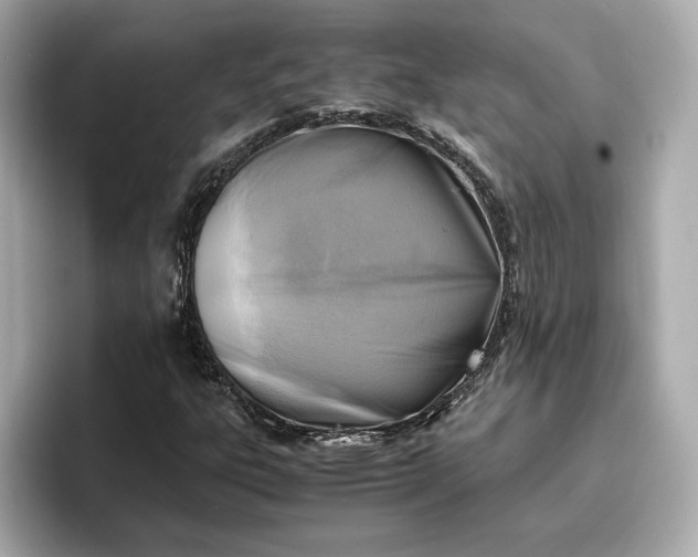 X0000096961303200802221334