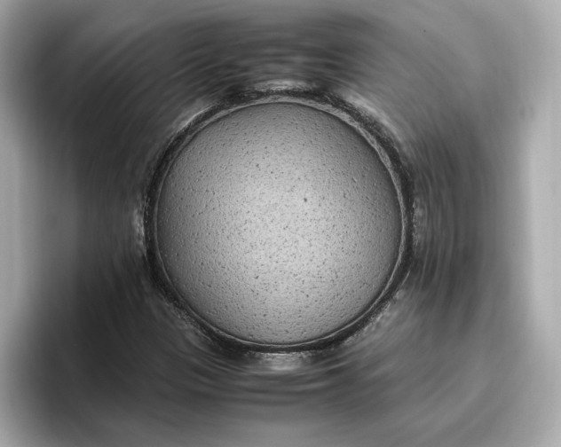 X0000096961305200802221334