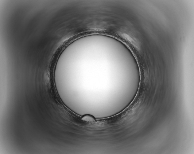 X0000096961307200802221334