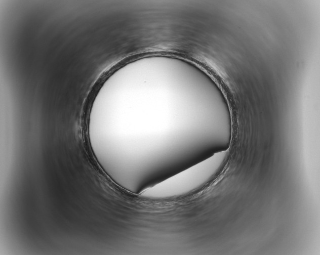 X0000096961308200802221334