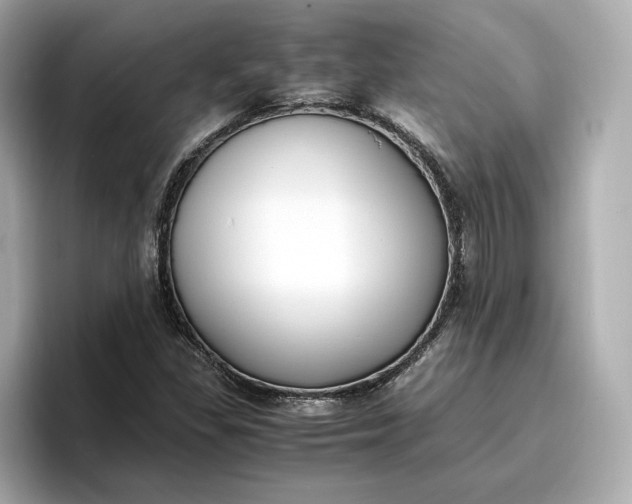 X0000096961309200802221334