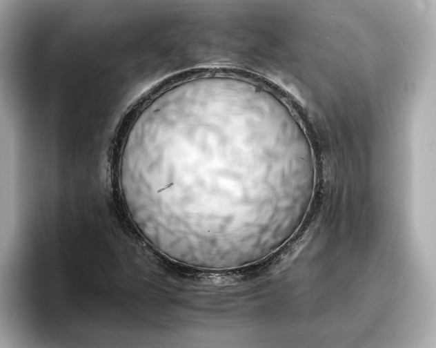 X0000096961311200802221334