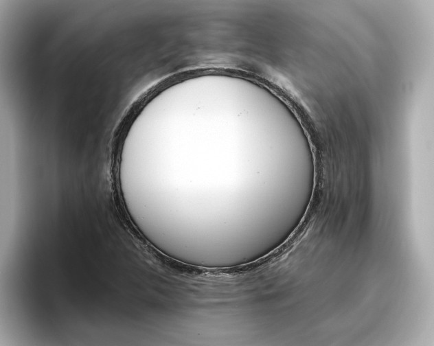 X0000096961312200802221334