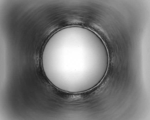 X0000096961313200802221334