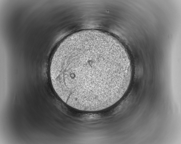 X0000096961314200802221334