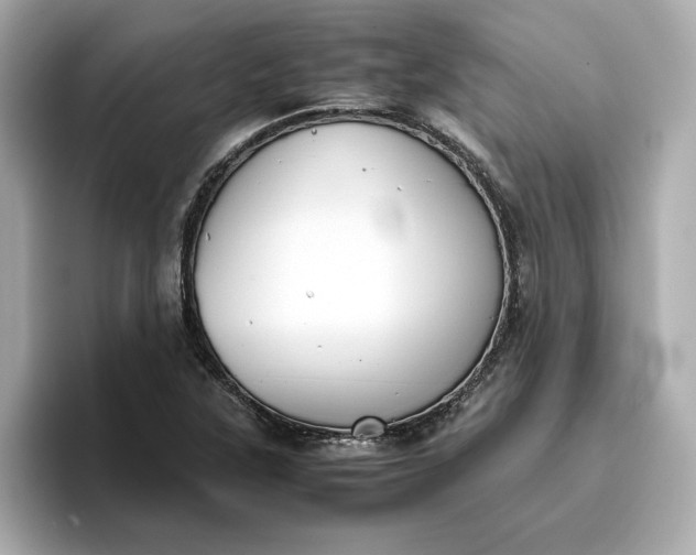 X0000096961315200802221334