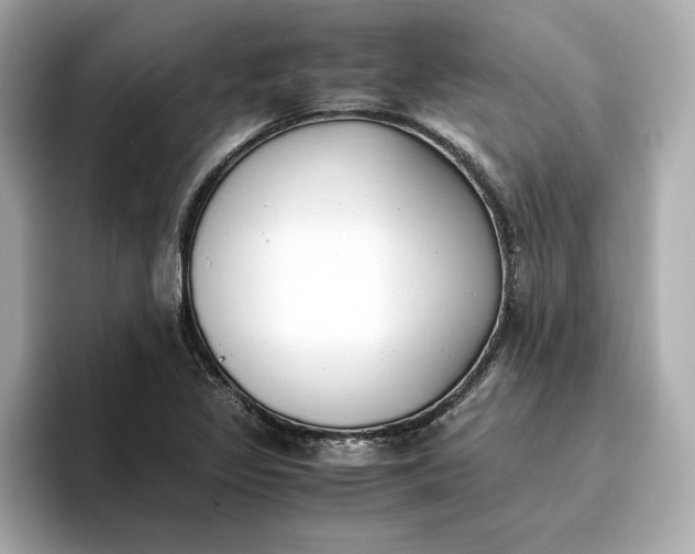 X0000096961317200802221334