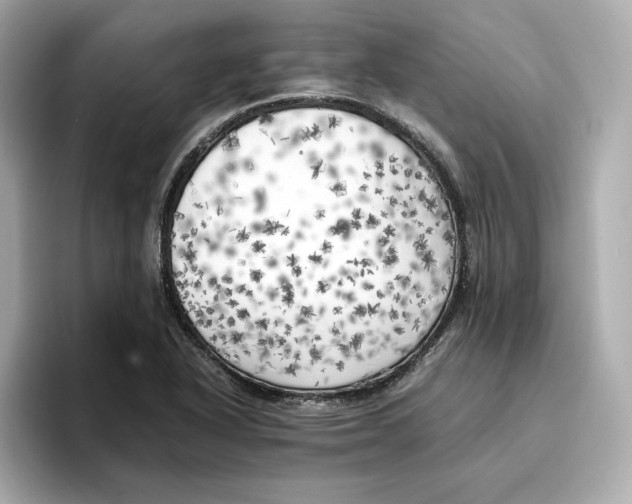 X0000096961318200802221334