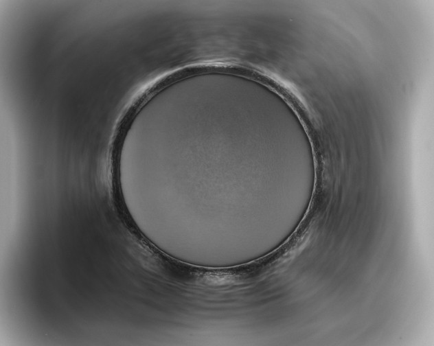 X0000096961319200802221334