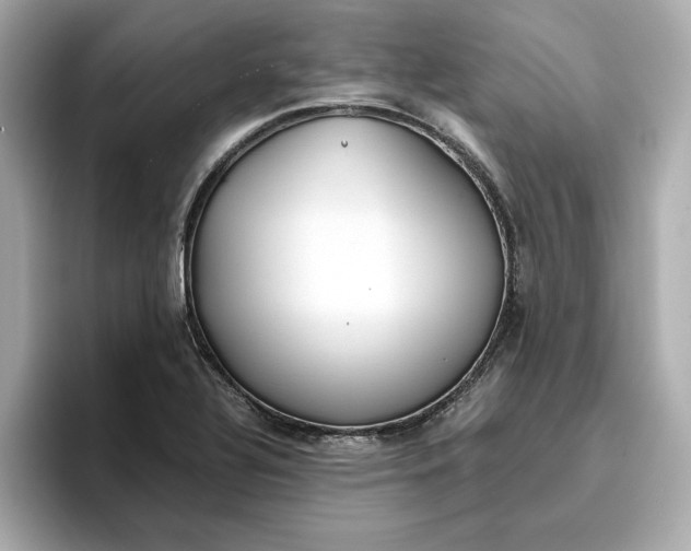 X0000096961320200802221334