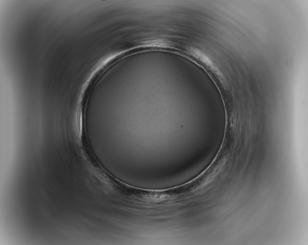 X0000096961323200802221334