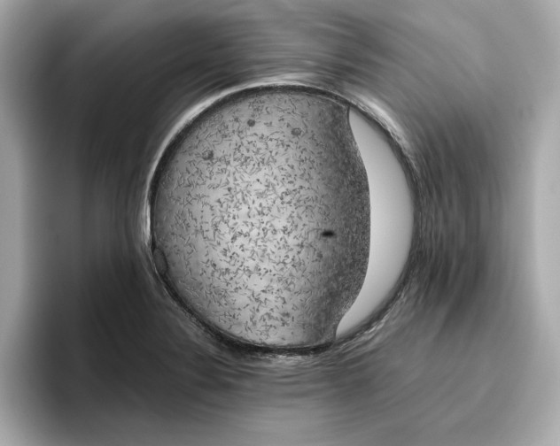 X0000096961324200802221334