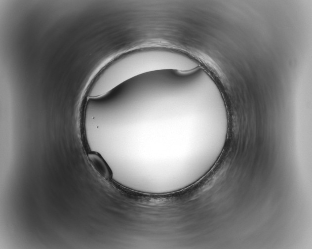 X0000096961326200802221334