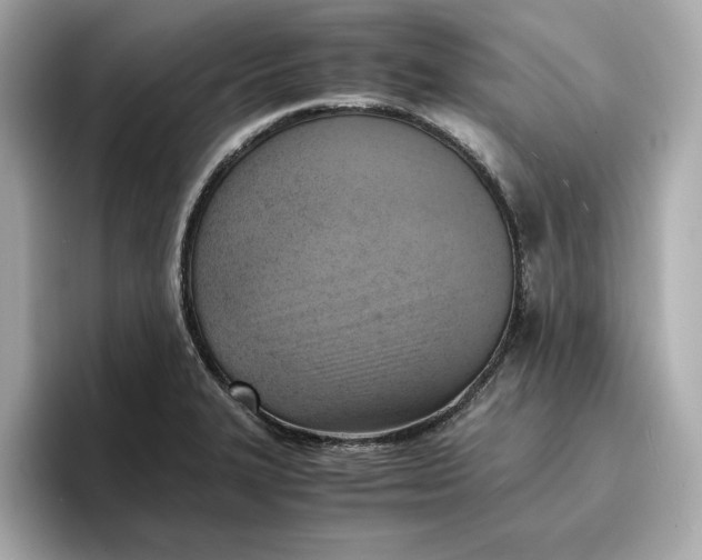 X0000096961327200802221334