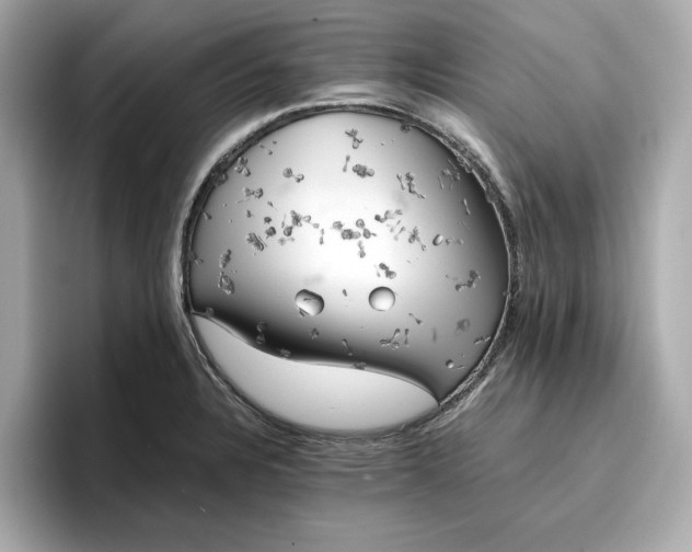 X0000096961328200802221334